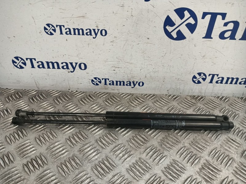 Recambio de amortiguadores maletero / porton para fiat 500 (312) 500 referencia OEM IAM 0230330350N  