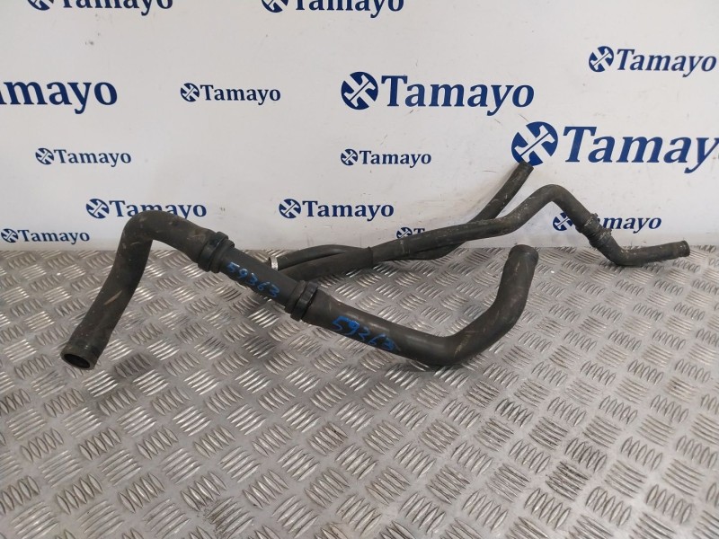 Recambio de manguera de refrigerante para dacia sandero 1.2 16v referencia OEM IAM   