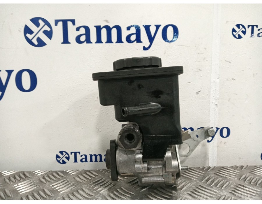 Recambio de bomba direccion para bmw serie 3 touring (e46) 2.0 16v diesel cat referencia OEM IAM 7691900513  