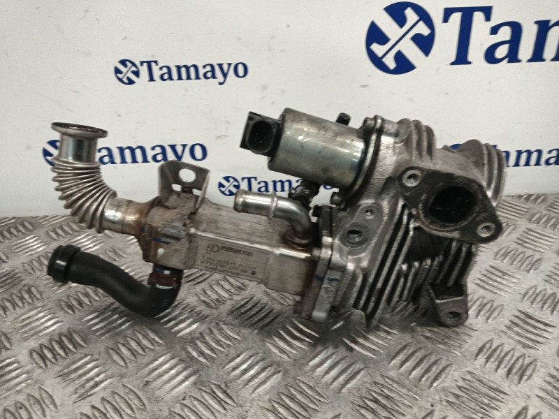 Recambio de enfriador egr para renault scenic ii grand scenic ii referencia OEM IAM 50006604 3129002 
