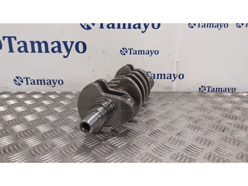 Recambio de cigueñal para fiat panda / panda classic (169_) 1.3 d multijet (169.axc1a) referencia OEM IAM   