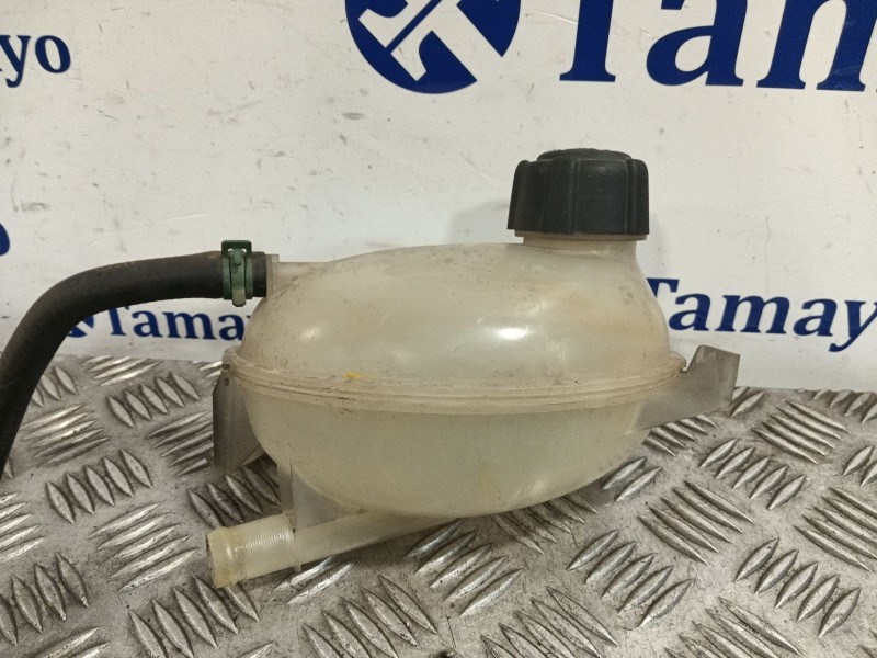 Recambio de deposito expansion para dacia duster (hs_) 1.5 dci referencia OEM IAM 217107259R  
