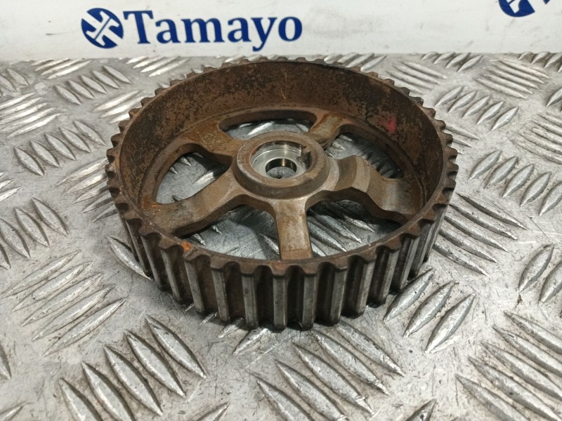Recambio de polea arbol levas para renault scenic ii 1.9 dci diesel referencia OEM IAM   