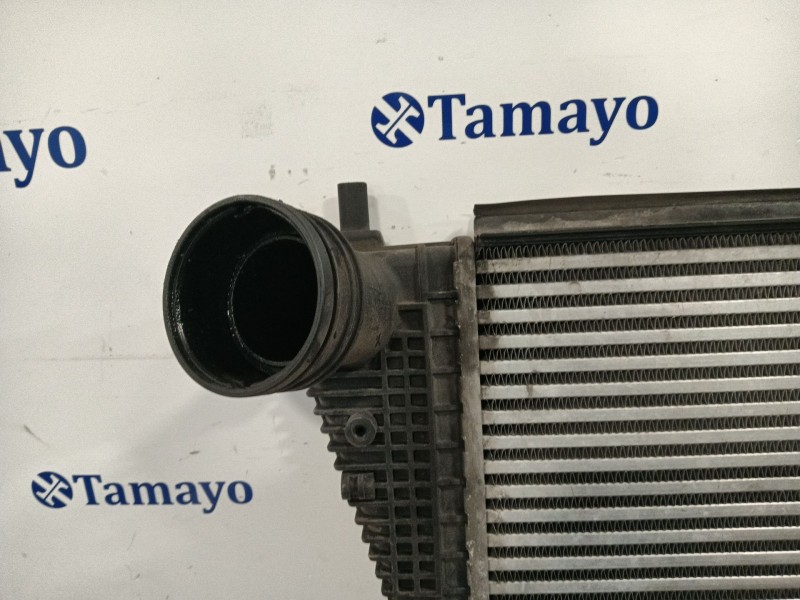 Recambio de intercooler para volkswagen golf plus v (5m1, 521) 2.0 tdi 16v referencia OEM IAM 1K0145803M  