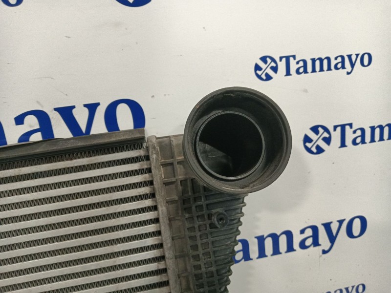 Recambio de intercooler para volkswagen golf plus v (5m1, 521) 2.0 tdi 16v referencia OEM IAM 1K0145803M  