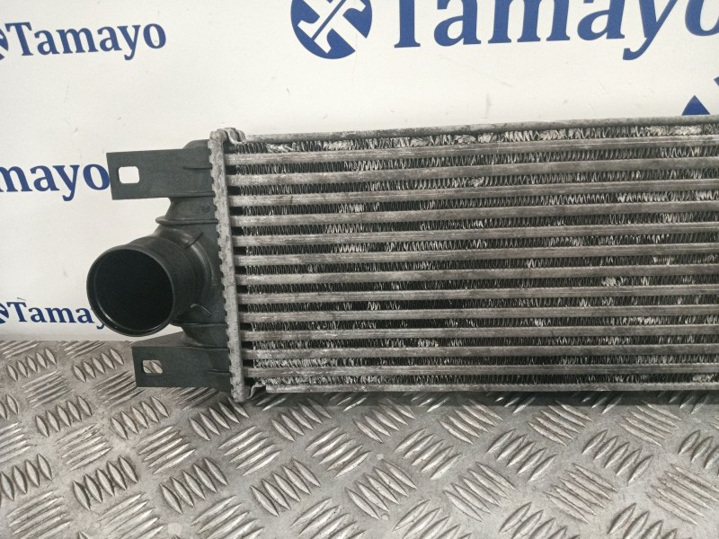 Recambio de intercooler para renault master ii autobús (jd) 2.5 dci 120 referencia OEM IAM 874806M  