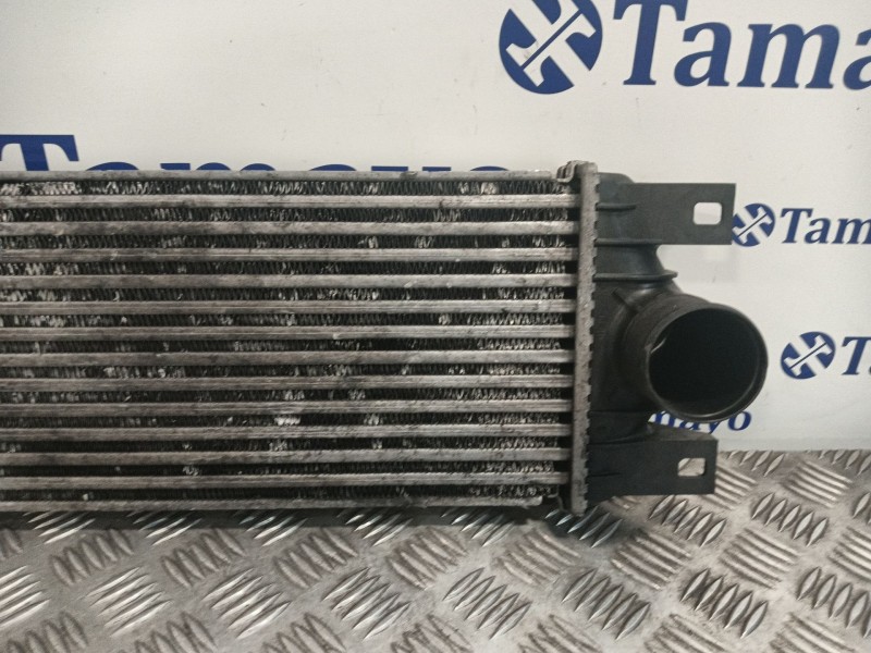 Recambio de intercooler para renault master ii autobús (jd) 2.5 dci 120 referencia OEM IAM 874806M  