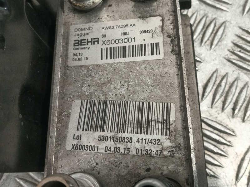Recambio de enfriador aceite motor para jaguar xe (x760) 2.0 d referencia OEM IAM X6003001  