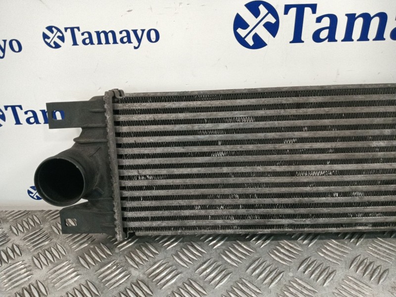 Recambio de intercooler para nissan interstar furgoneta (x70) dci 115 referencia OEM IAM   