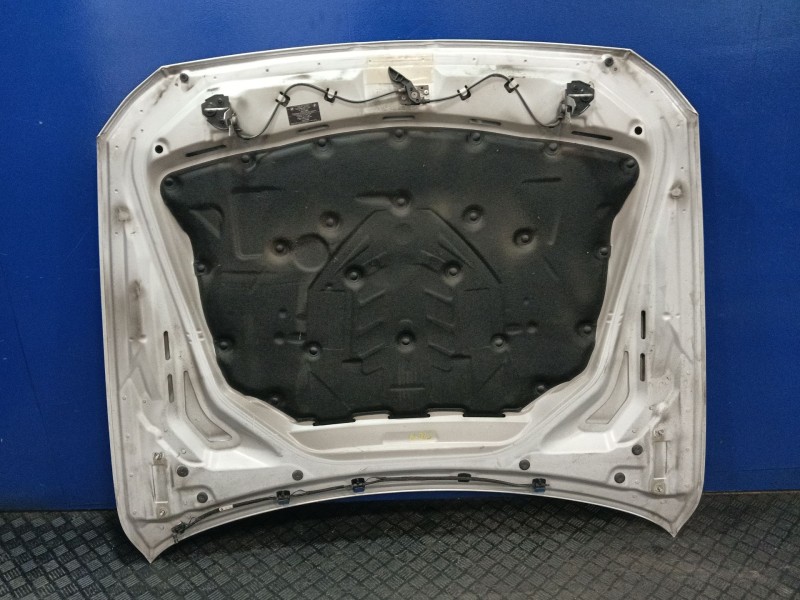 Recambio de capot para bmw 5 touring (f11) 520 d referencia OEM IAM   