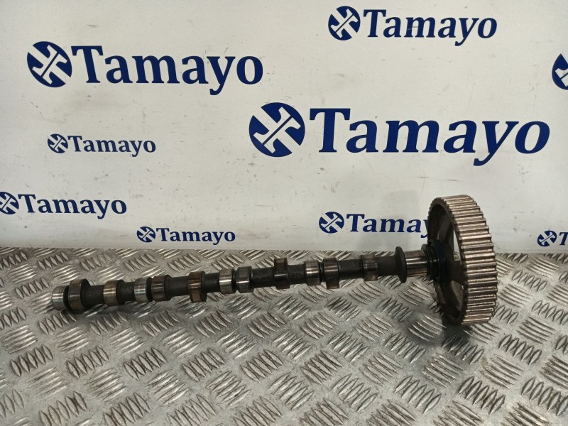 Recambio de arbol de levas para mitsubishi montero (v60/v70) 2.5 td cat referencia OEM IAM   