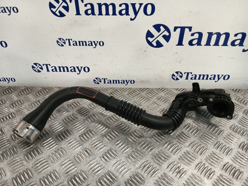 Recambio de tubo para dacia sandero referencia OEM IAM 1198569S02  