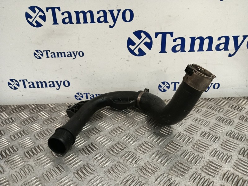 Recambio de tubo para dacia sandero referencia OEM IAM 310000195603  