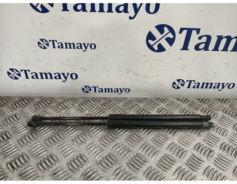 Recambio de amortiguadores maletero / porton para toyota auris 1.4 turbodiesel cat referencia OEM IAM 6895002091  