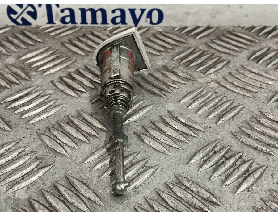 Recambio de bombin puerta delantera izquierda para renault clio iv (bh_) 1.5 dci 75 referencia OEM IAM 501992  