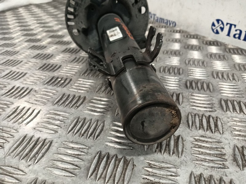 Recambio de amortiguador delantero derecho para volkswagen polo (6r1) referencia OEM IAM 6R0413031Q  