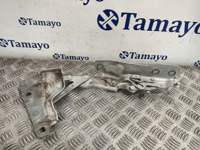 Recambio de bisagra capot delantero izquierdo para jaguar xe (x760) 2.0 d referencia OEM IAM GX7316801A  