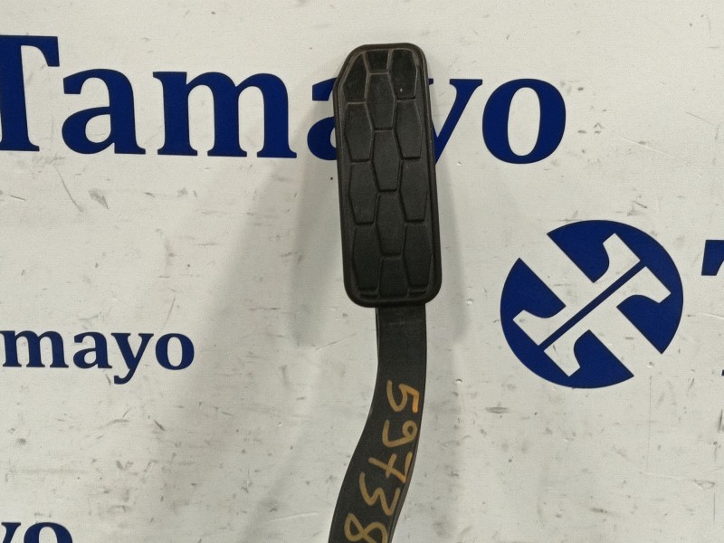 Recambio de pedal acelerador para jaguar xe (x760) 2.0 d referencia OEM IAM GX739F836AA  