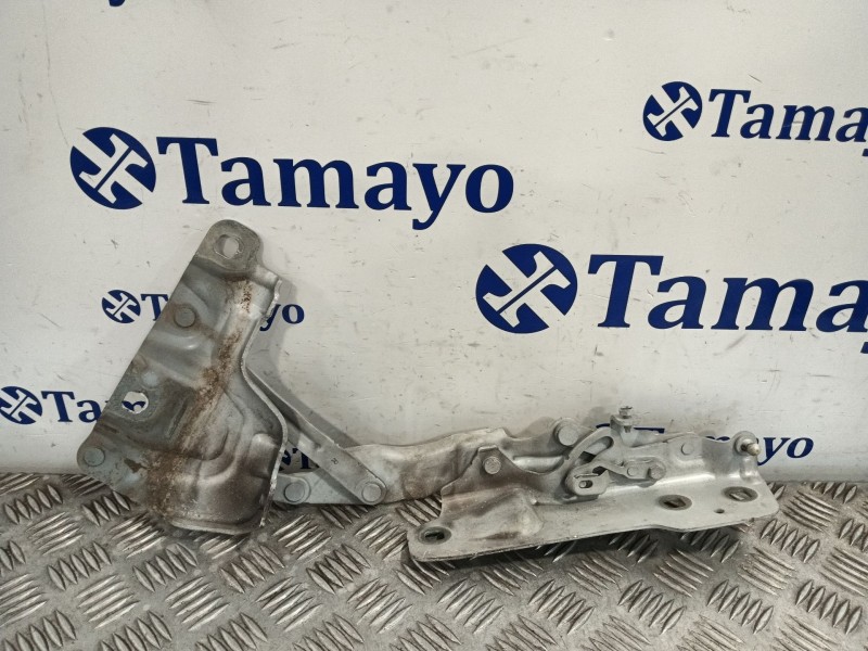 Recambio de bisagra capot delantero derecho para jaguar xe (x760) 2.0 d referencia OEM IAM GX7316800AD  