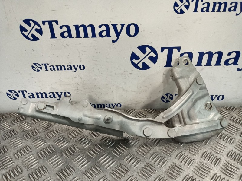 Recambio de bisagra capot delantero derecho para jaguar xe (x760) 2.0 d referencia OEM IAM GX7316800AD  