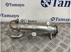 Recambio de enfriador gases para volkswagen golf iv (1j1) 1.9 tdi referencia OEM IAM   