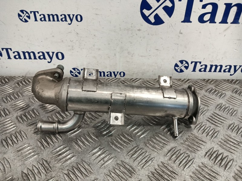 Recambio de enfriador gases para volkswagen golf iv (1j1) 1.9 tdi referencia OEM IAM   