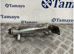 Recambio de enfriador gases para volkswagen golf iv (1j1) 1.9 tdi referencia OEM IAM    2