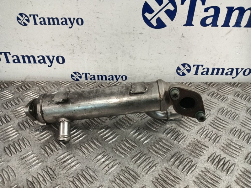 Recambio de enfriador gases para volkswagen golf iv (1j1) 1.9 tdi referencia OEM IAM   