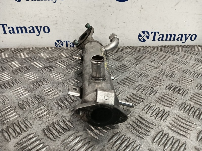 Recambio de enfriador gases para volkswagen golf iv (1j1) 1.9 tdi referencia OEM IAM   
