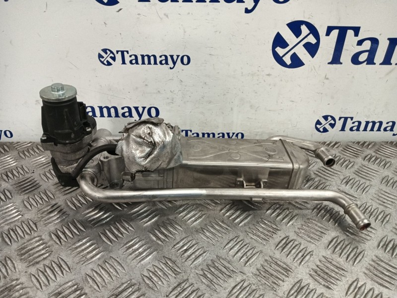 Recambio de enfriador egr para audi a1 (8x1, 8xk) 1.6 tdi referencia OEM IAM   