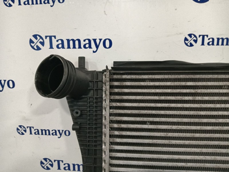 Recambio de intercooler para volkswagen golf iv (1j1) 1.9 tdi referencia OEM IAM 1K0145803S  