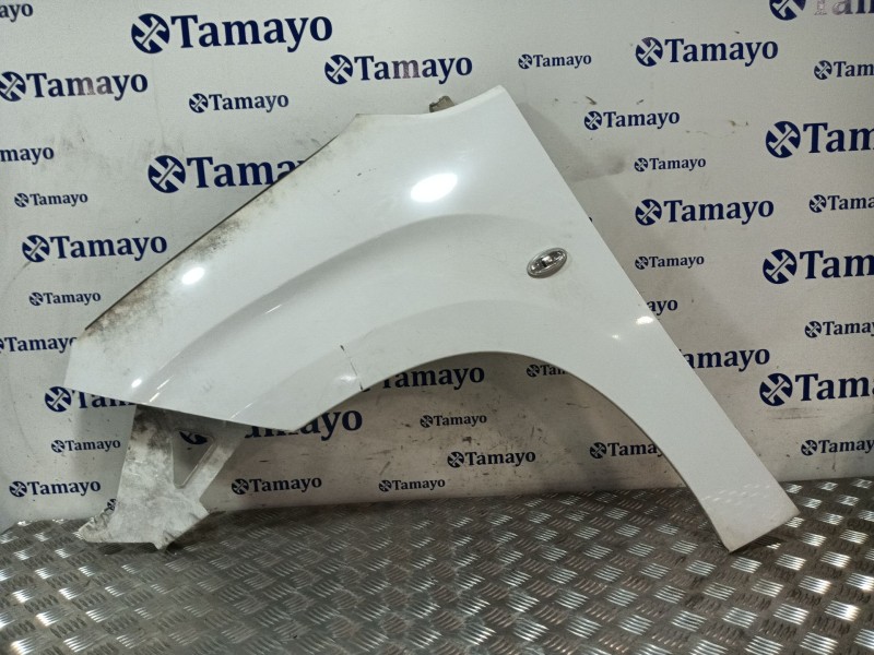 Recambio de aleta delantera izquierda para citroën berlingo furgoneta/monovolumen (k9) 1.5 bluehdi 100 referencia OEM IAM   