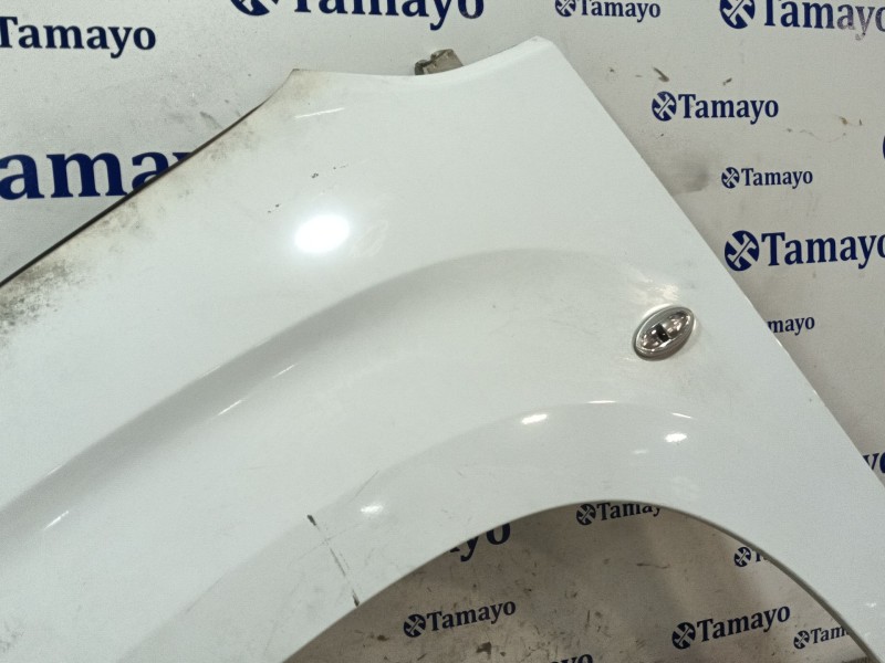 Recambio de aleta delantera izquierda para citroën berlingo furgoneta/monovolumen (k9) 1.5 bluehdi 100 referencia OEM IAM   