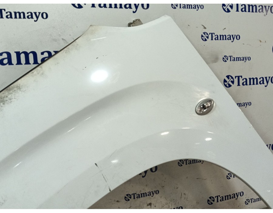 Recambio de aleta delantera izquierda para citroën berlingo furgoneta/monovolumen (k9) 1.5 bluehdi 100 referencia OEM IAM   
