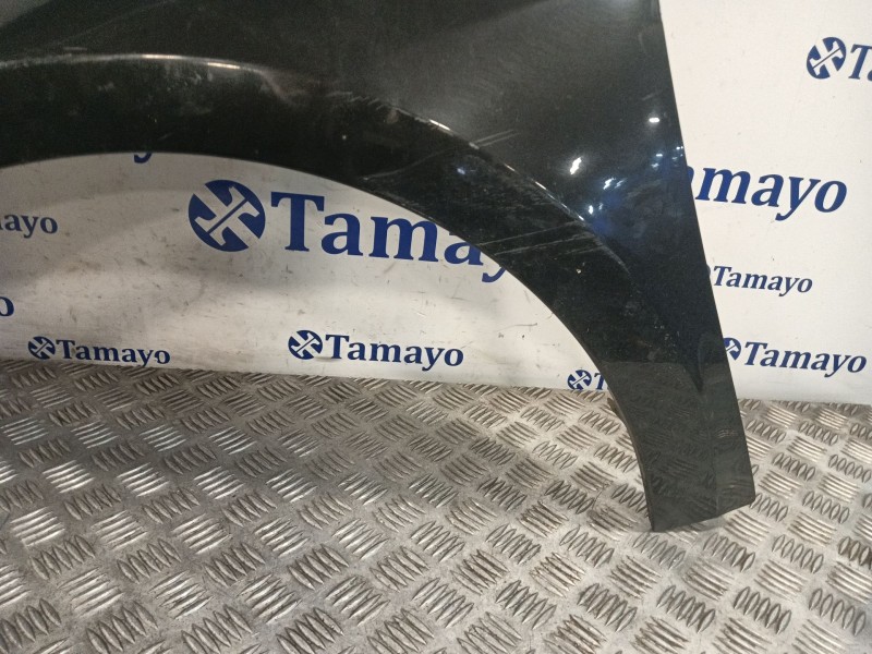 Recambio de aleta delantera izquierda para renault laguna grandtour iii dci fap referencia OEM IAM   