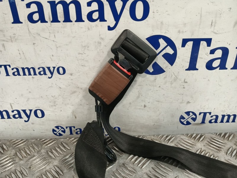 Recambio de cinturon seguridad trasero central para volkswagen golf iv (1j1) 1.6 16v referencia OEM IAM 0065980  