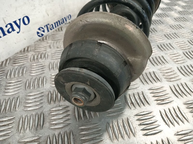 Recambio de amortiguador delantero derecho para dacia duster 1.6 16v cat referencia OEM IAM 8200813791  