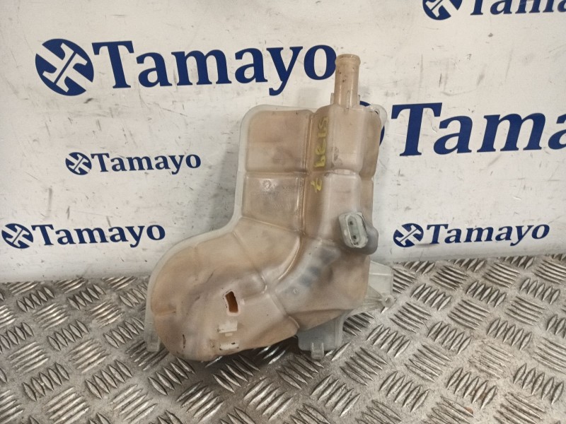 Recambio de deposito expansion para seat exeo (3r2) 2.0 tdi referencia OEM IAM 8E0121403A  