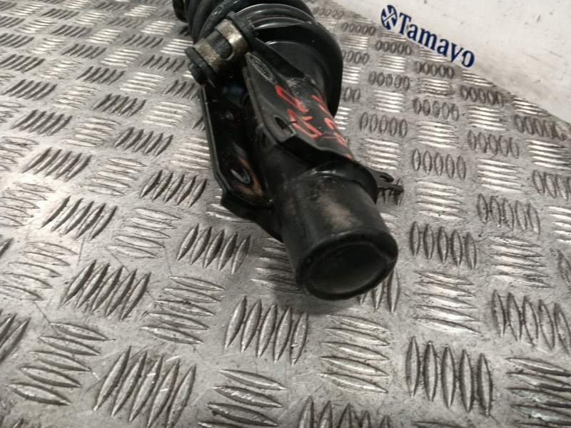 Recambio de amortiguador delantero derecho para piaggio porter caja/chasis 1.3 referencia OEM IAM 614636520  