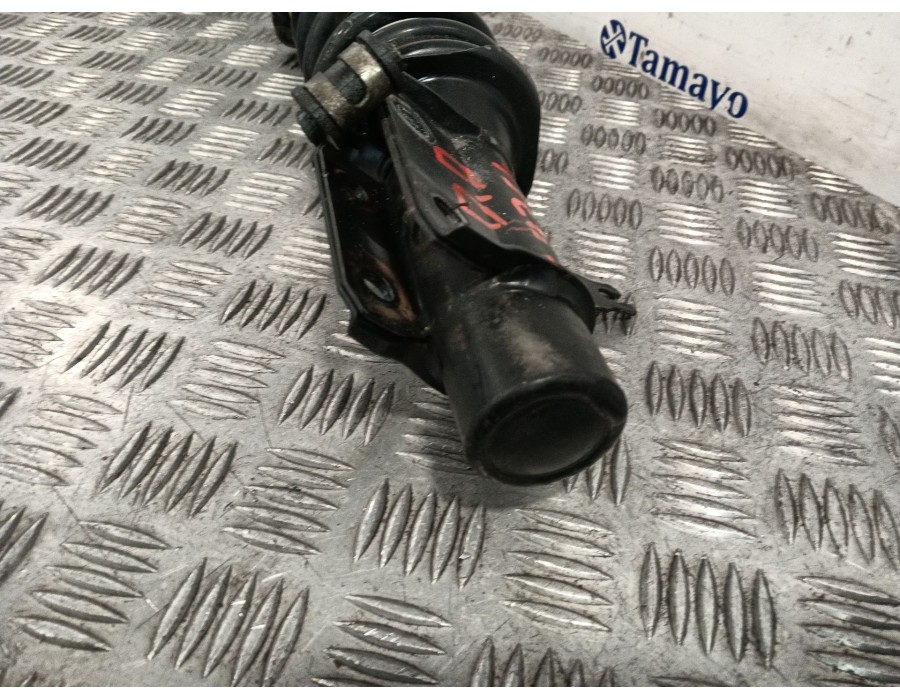 Recambio de amortiguador delantero derecho para piaggio porter caja/chasis 1.3 referencia OEM IAM 614636520  