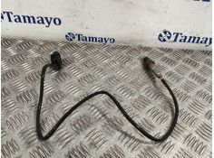 Recambio de sonda lambda para seat exeo (3r2) 2.0 tdi referencia OEM IAM 6PA00916679   2