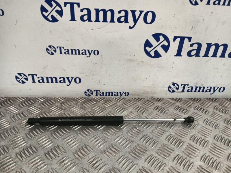 Recambio de amortiguadores capo para renault clio iv referencia OEM IAM 654703934R  