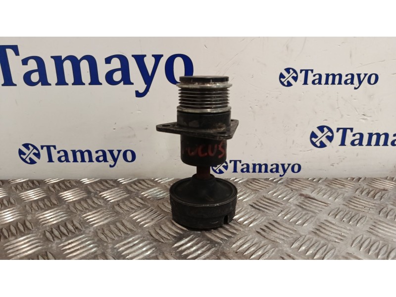 Recambio de polea alternador para ford focus berlina (cak) 1.6 16v cat referencia OEM IAM   