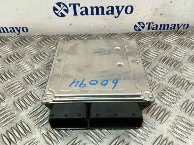 Recambio de centralita motor uce para bmw 3 (e90) 320 d referencia OEM IAM 0281013251 DDE7801711 1039S14024