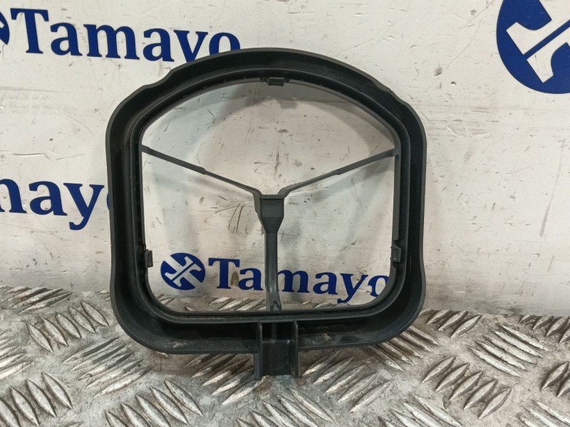 Recambio de moldura para bmw mini (f56) referencia OEM IAM 111108800  