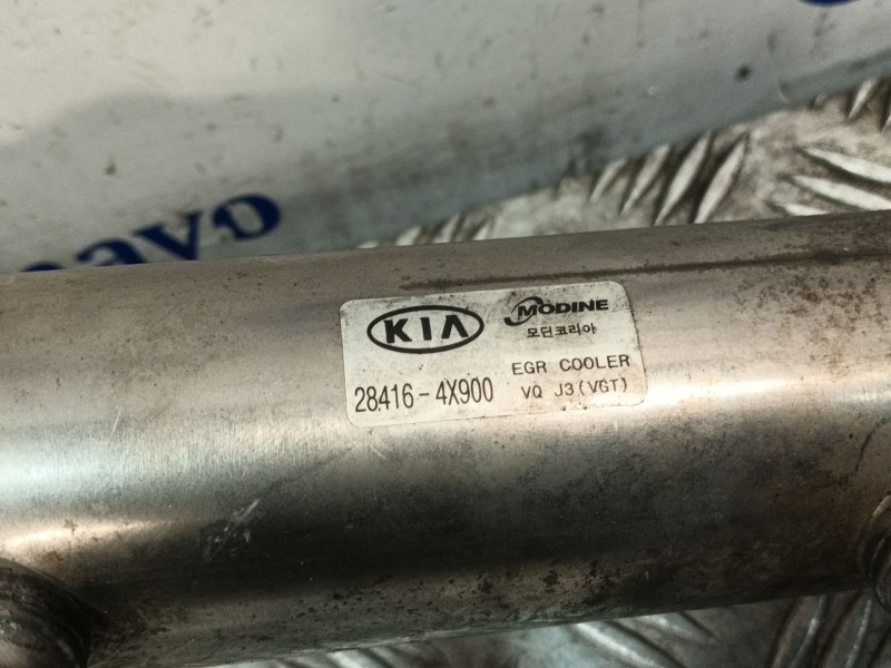 Recambio de enfriador egr para kia carnival referencia OEM IAM 284164X900  