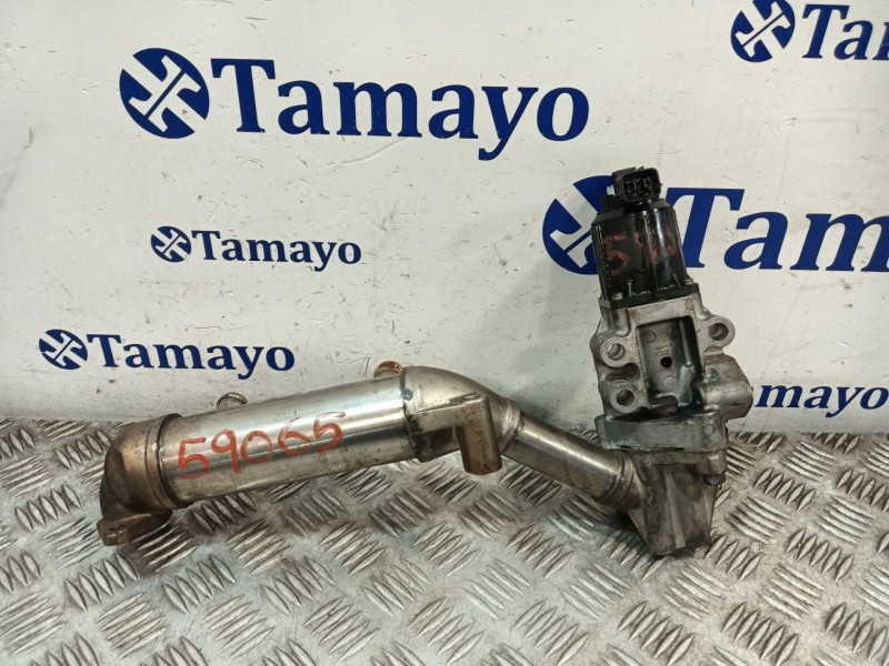Recambio de enfriador egr para kia carnival referencia OEM IAM 284164X900  