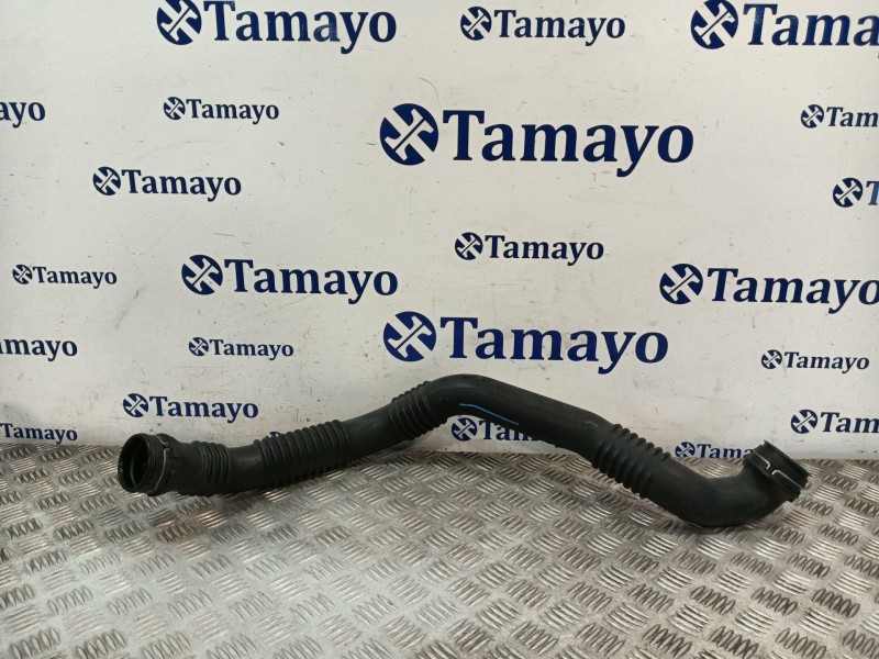 Recambio de tubo intercooler para mercedes-benz clase b (w245) 2.0 cdi cat referencia OEM IAM A1695200701  