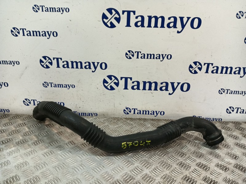Recambio de tubo intercooler para mercedes-benz clase b (w245) 2.0 cdi cat referencia OEM IAM A1695200701  