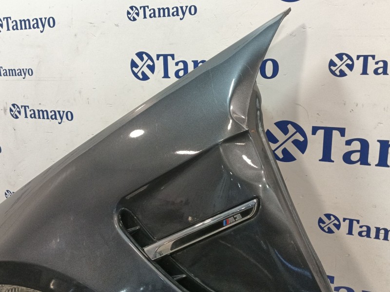 Recambio de aleta delantera izquierda para bmw 3 (e90) 320 d referencia OEM IAM   
